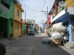 IMGP5613