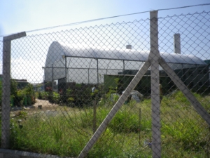 IMGP5618